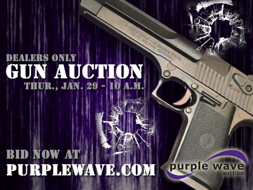 gun auction
